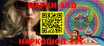 прущие грибы Комсомольск-на-Амуре