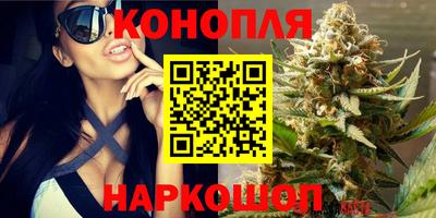 прущие грибы Комсомольск-на-Амуре