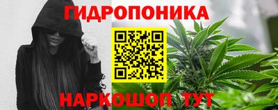 прущие грибы Комсомольск-на-Амуре