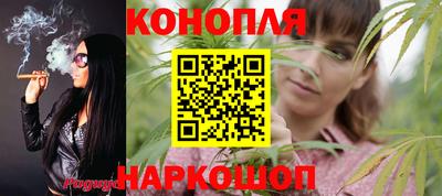прущие грибы Комсомольск-на-Амуре