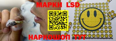 прущие грибы Комсомольск-на-Амуре