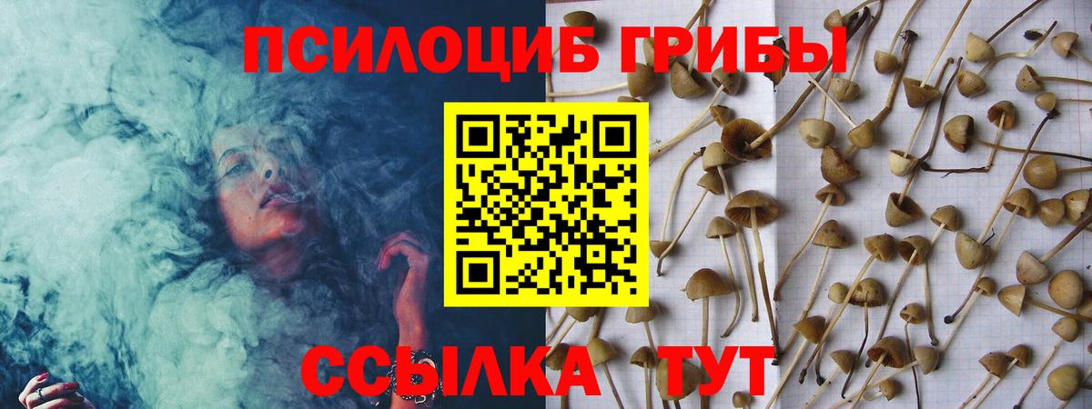 Жигулёвск  Псилоцибиновые грибы GOLDEN TEACHER  Вход с VPN 