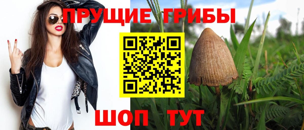 Галлюциногенные грибы ЛСД Жигулёвск